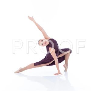 DANCE COSTUME dark purple/maroon, silk